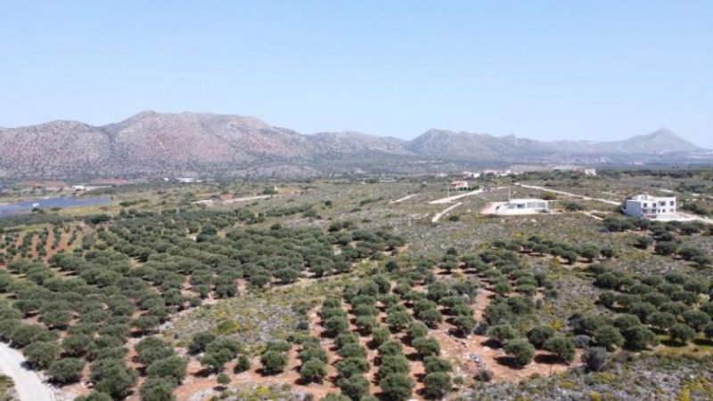 Chorafakia Chania Kreta, Chorafakia Chania: Grundstück mit Meer- und Bergblick zu verkaufen Grundstück kaufen